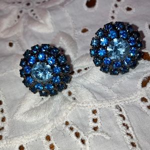Beautiful Blue Earrings